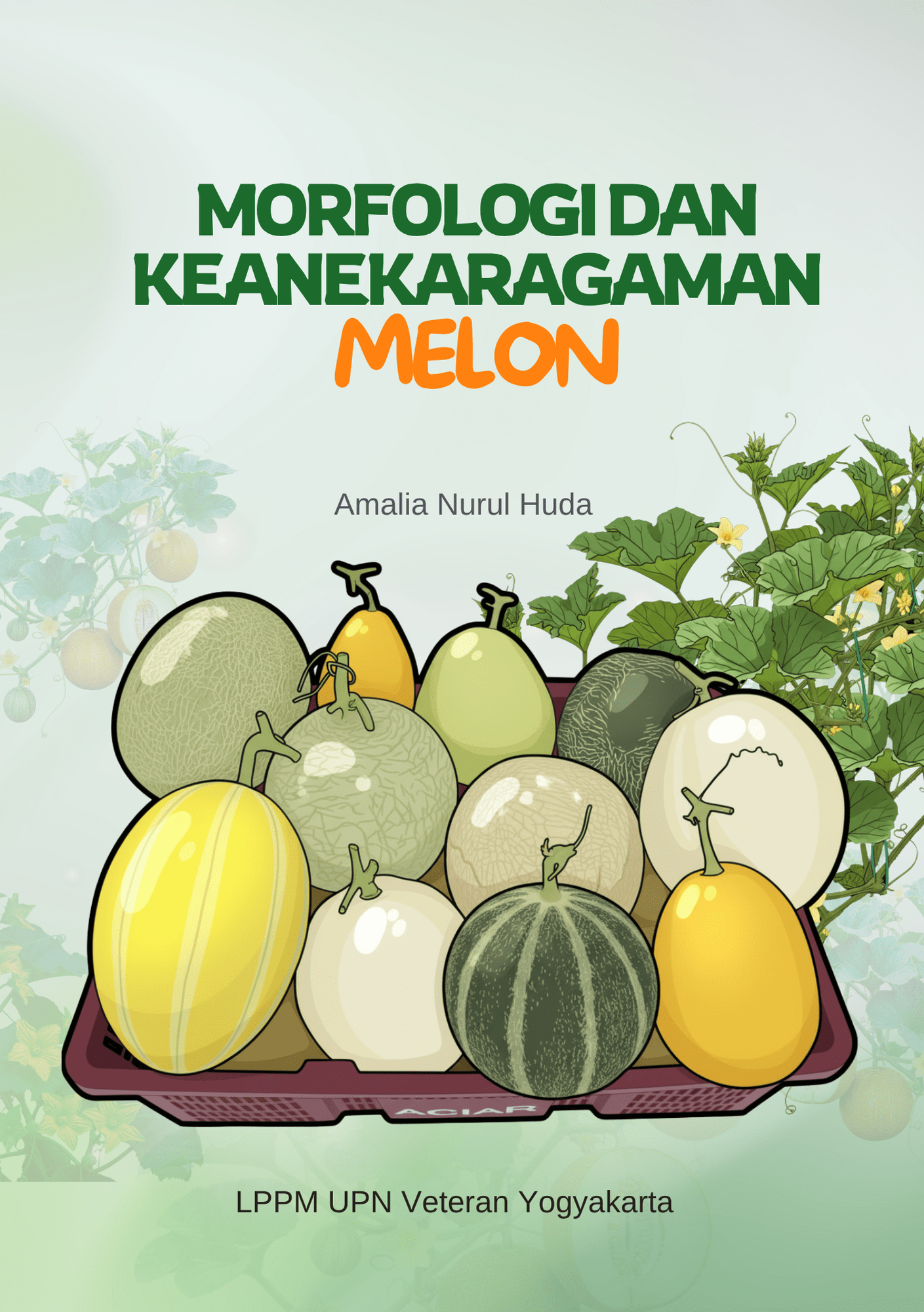 Cover Buku Morfologi dan Keanekaragaman Melon