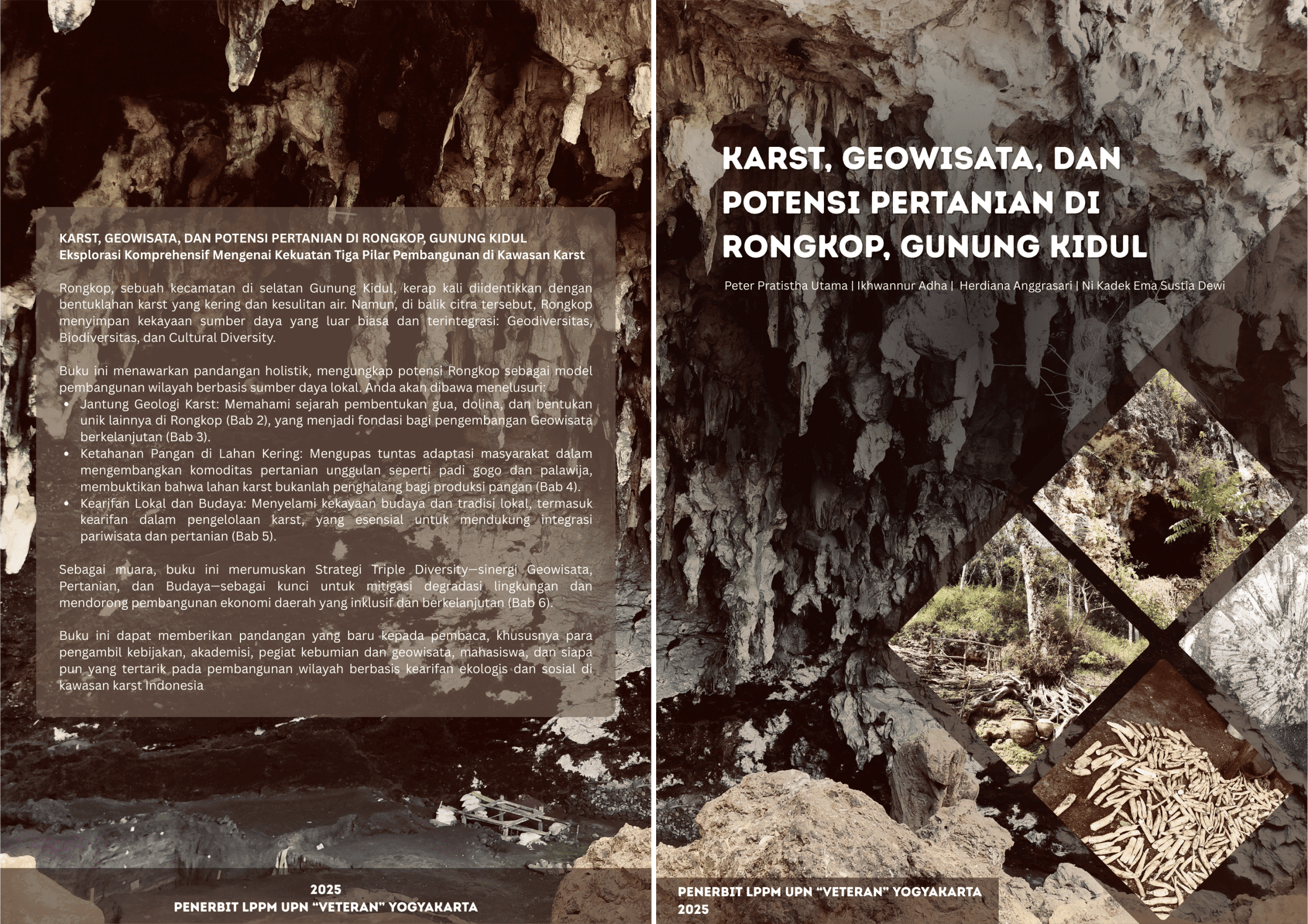 Cover Buku Karst, Geowisata, dan Potensi Pertanian di Rongkop, Gunung Kidul